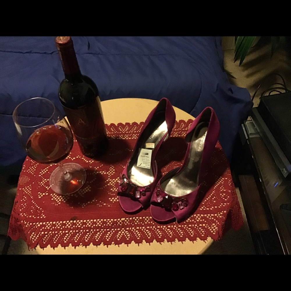 Satin Wine Shoes